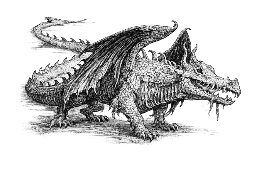 Dragon